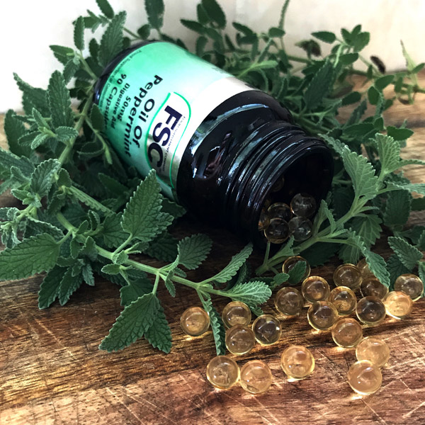 Weekly Tip: Oil Of Peppermint